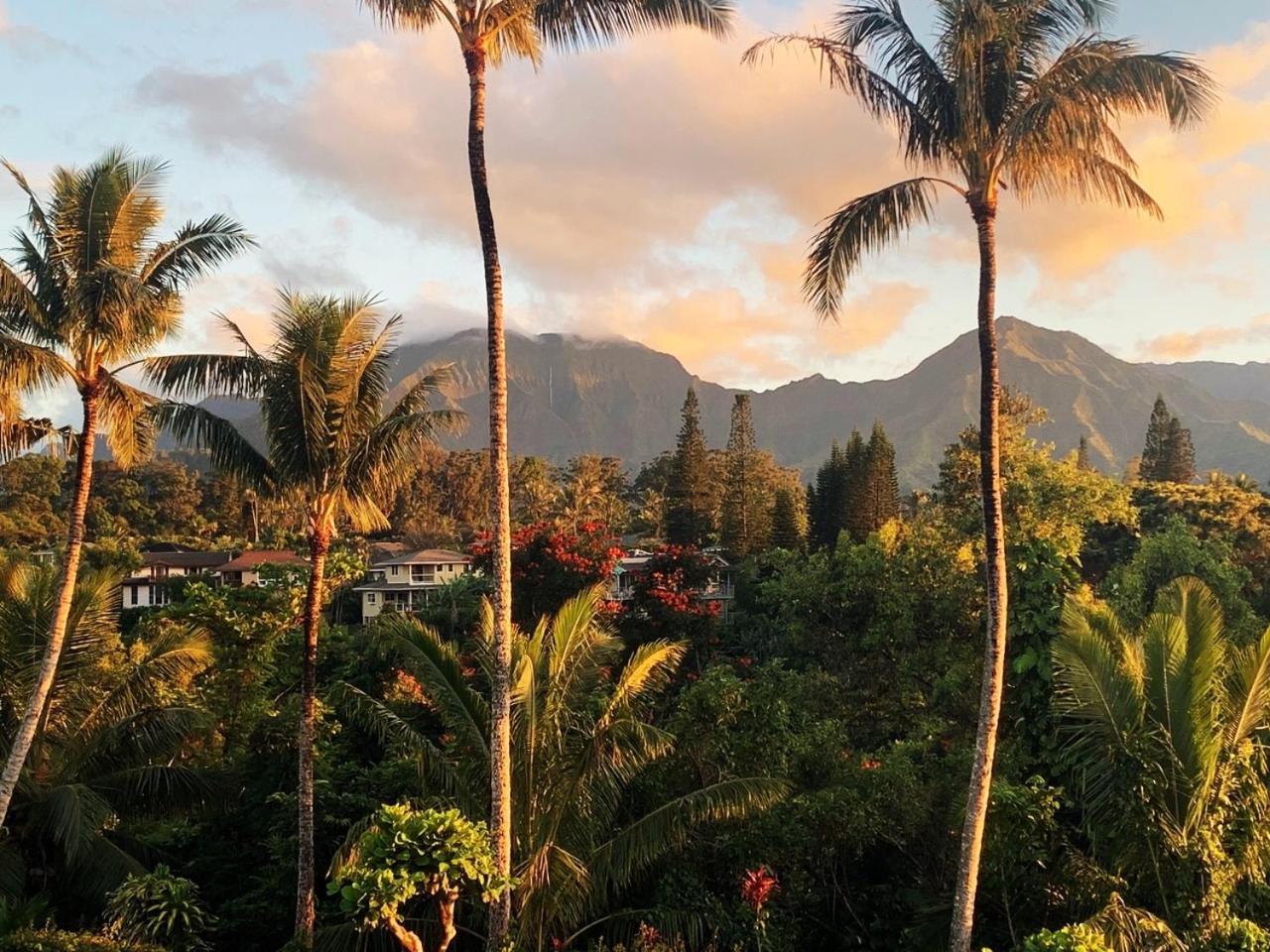 Sealodge Princeville Room photo